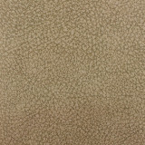 Dunes 221 07