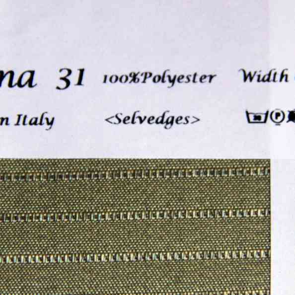 Anna 31