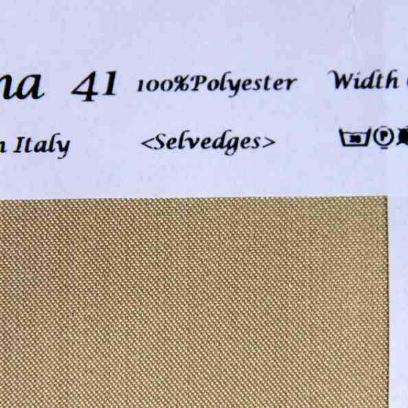 Anna 41
