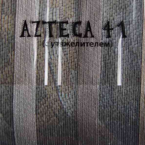 Azteca 41