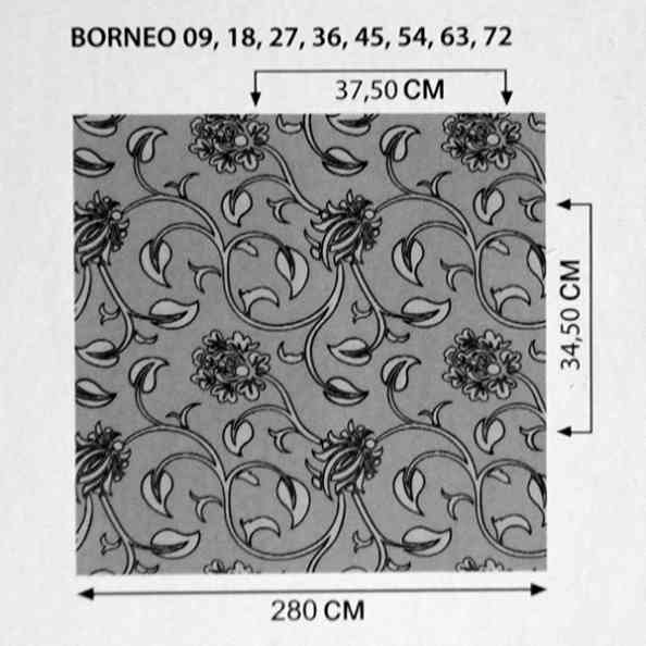 Borneo 27