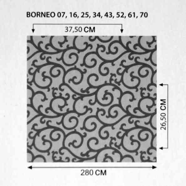 Borneo 43