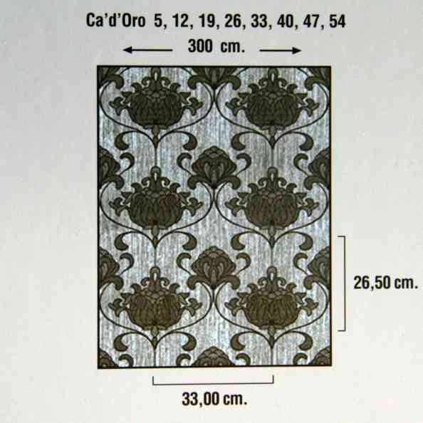 Ca D Oro 26