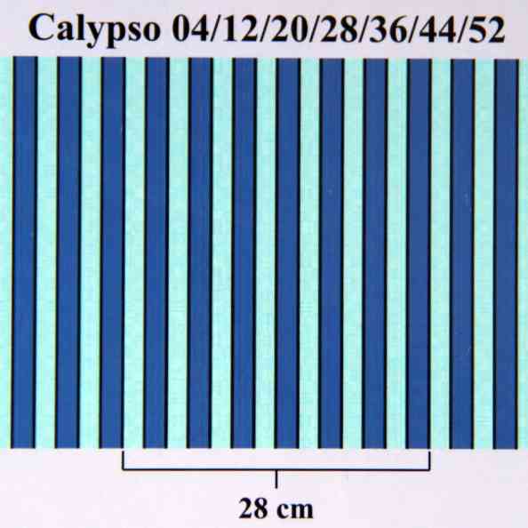 Calypso 04