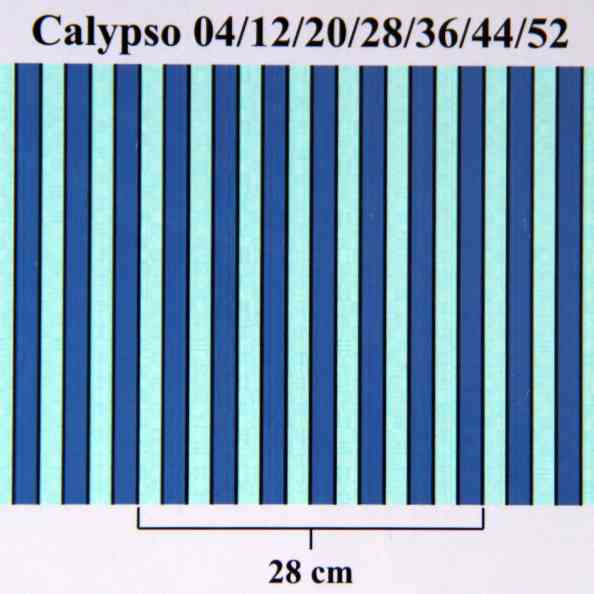 Calypso 12