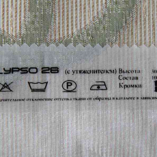 Calypso 26