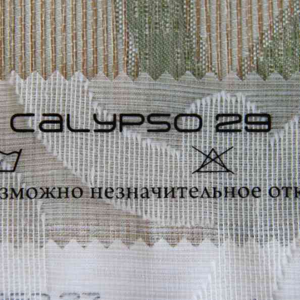 Calypso 29