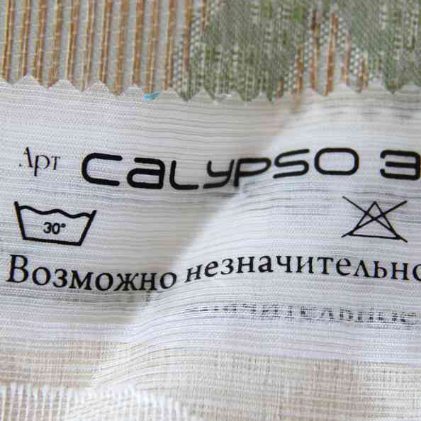Calypso 31