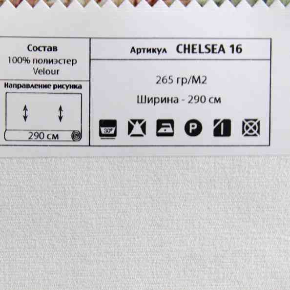 Chelsea 16