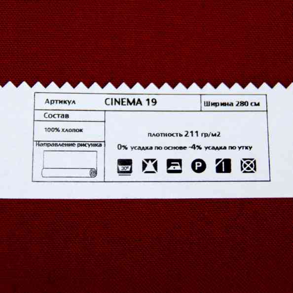 Cinema 19