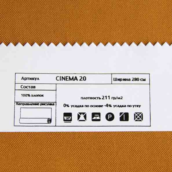 Cinema 20