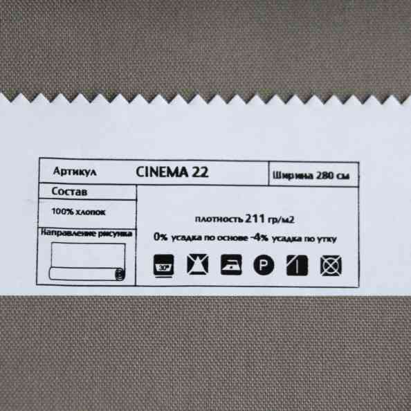 Cinema 22