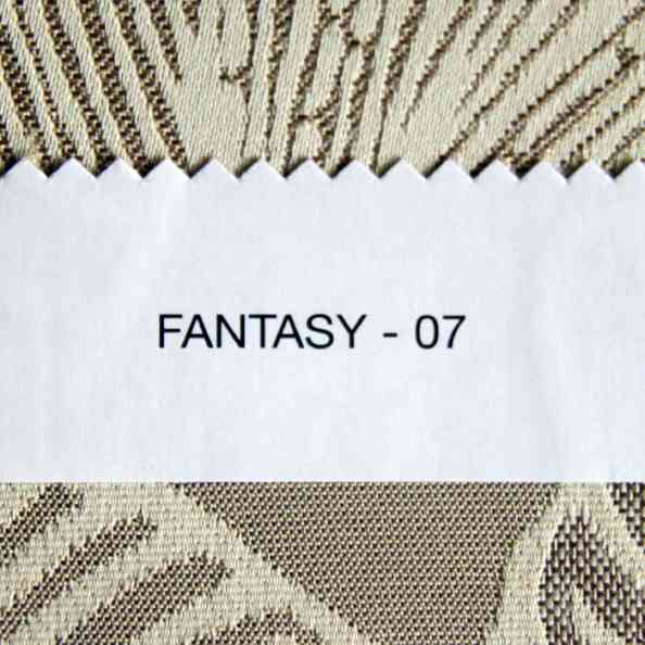 Fantasy 07