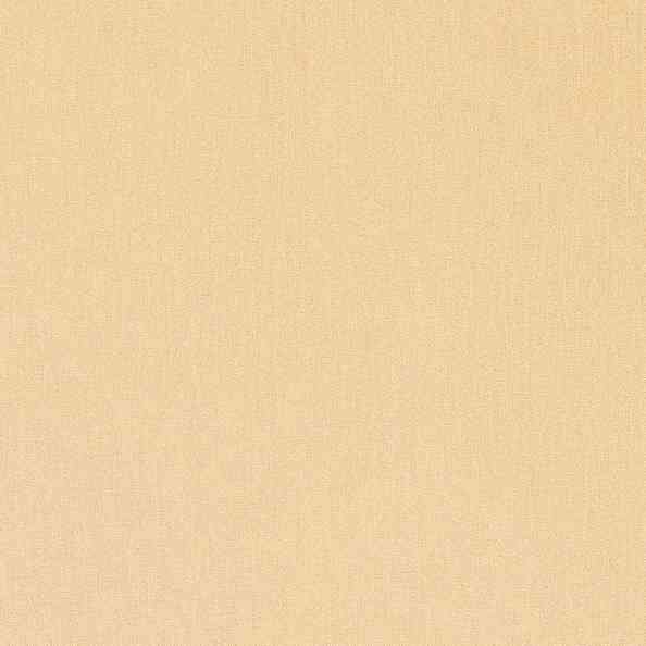 Giotto 6003