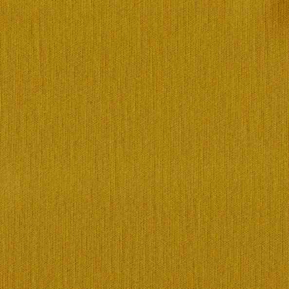 Giotto 6019