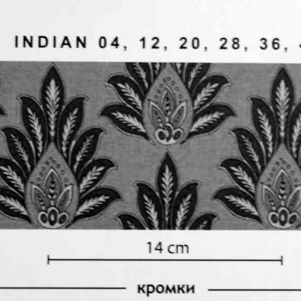 Indian 20