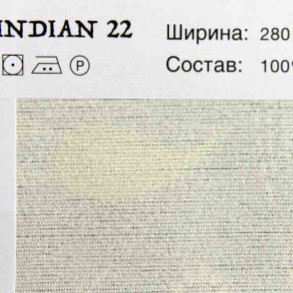 Indian 22