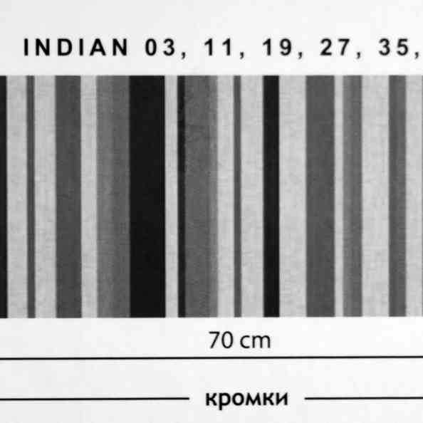 Indian 43