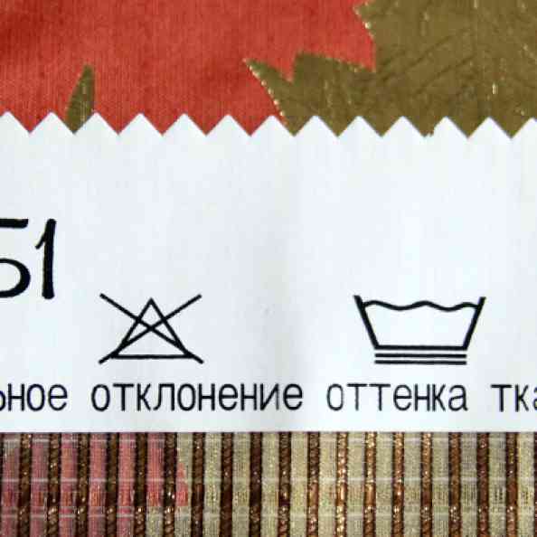 Kleo 51