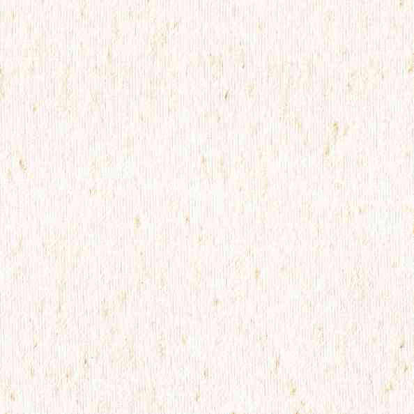 Lino 07