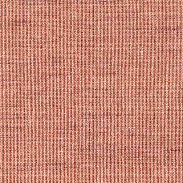 Lino 23