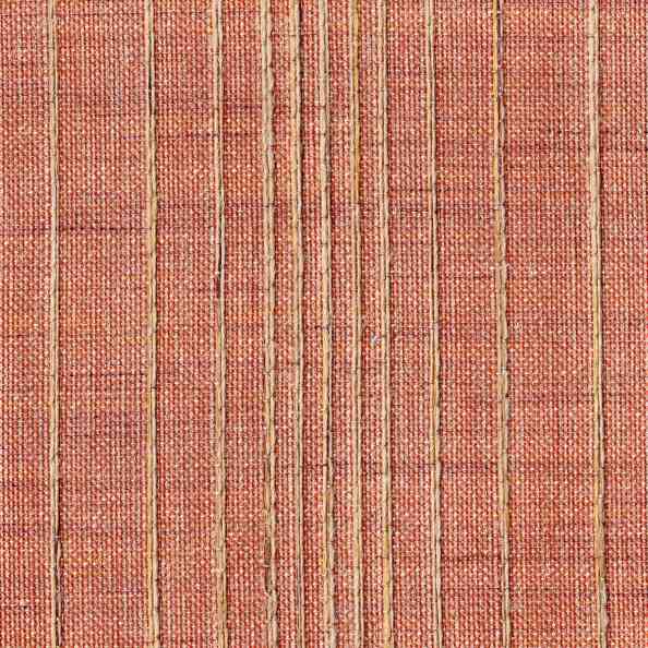 Lino 24