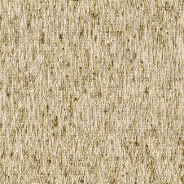 Lino 35