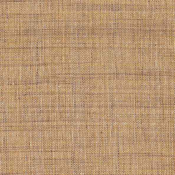 Lino 36