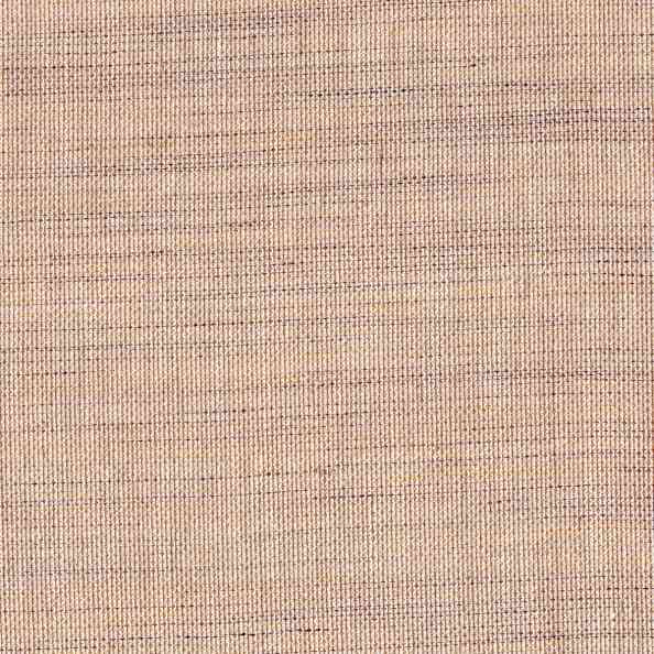 Lino 50