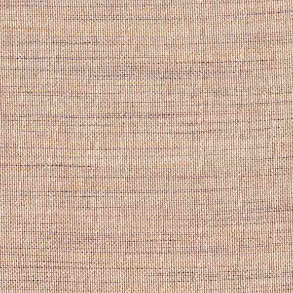 Lino 51