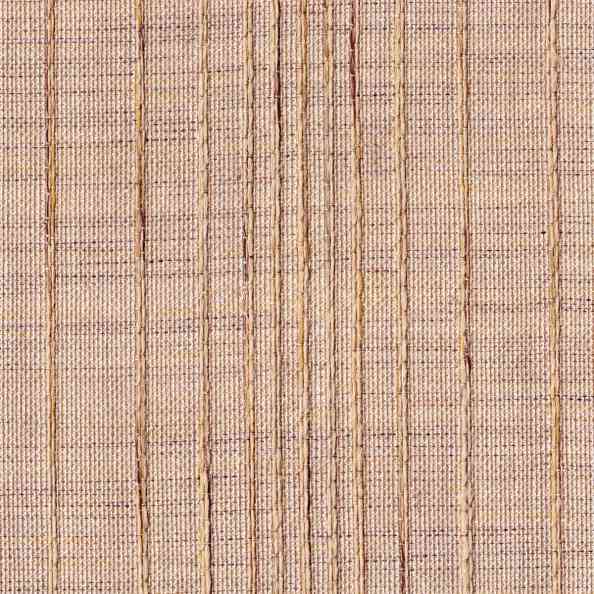 Lino 52