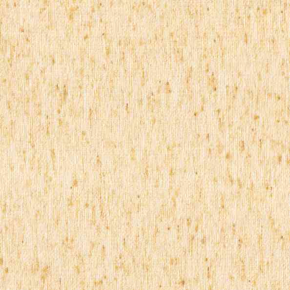 Lino 56