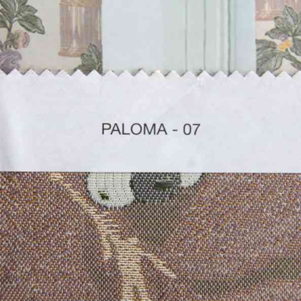 Paloma 07