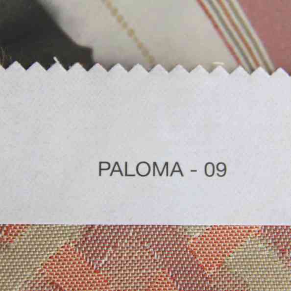 Paloma 09