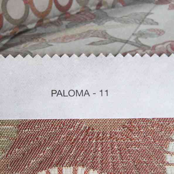 Paloma 11