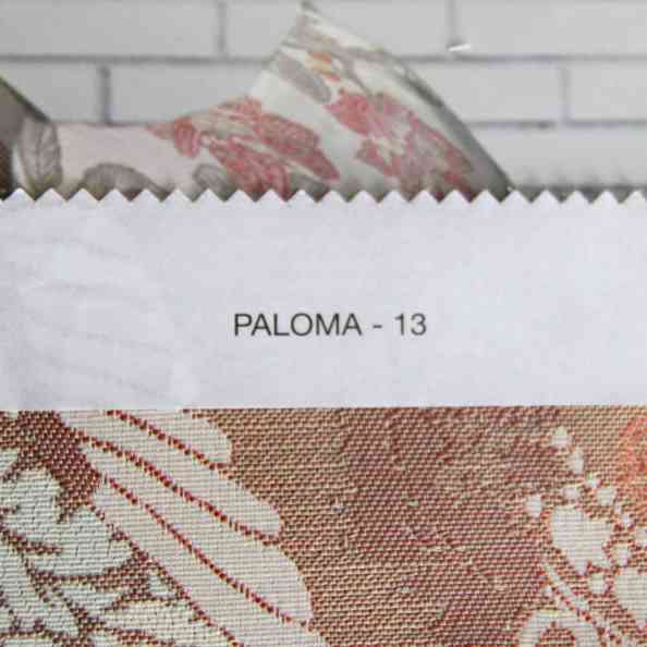 Paloma 13