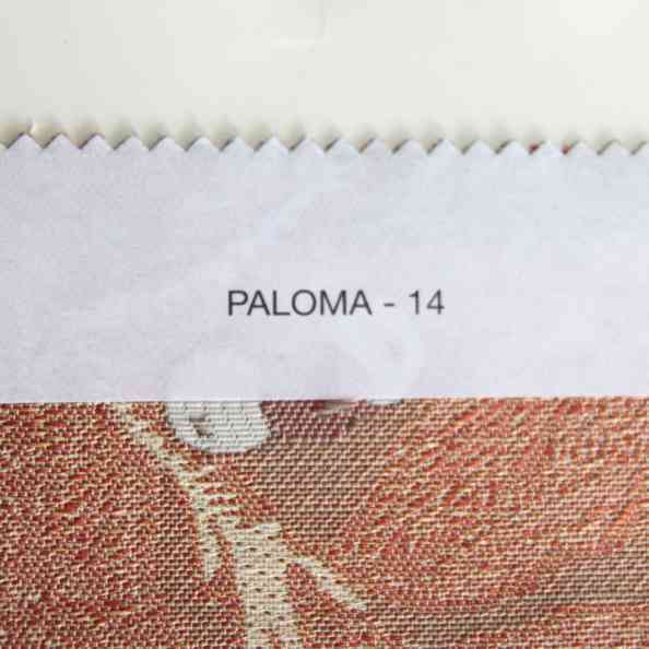 Paloma 14