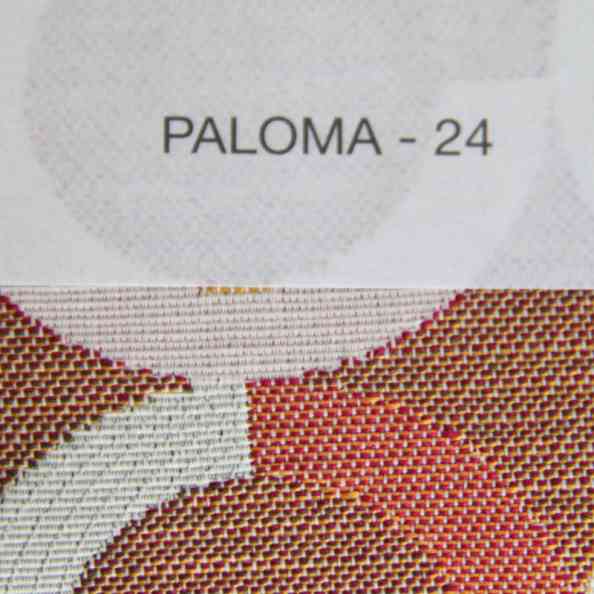 Paloma 24