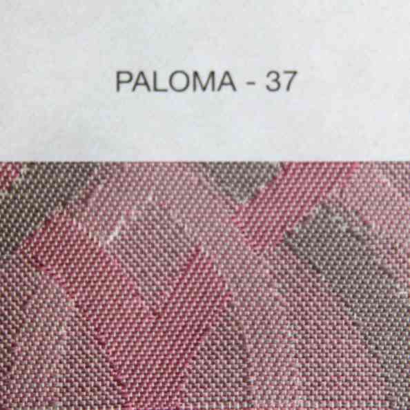 Paloma 37