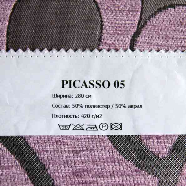 Picasso 05