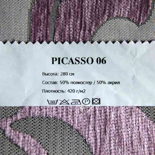 Picasso 06