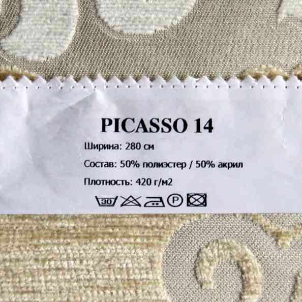 Picasso 14