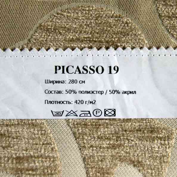 Picasso 19