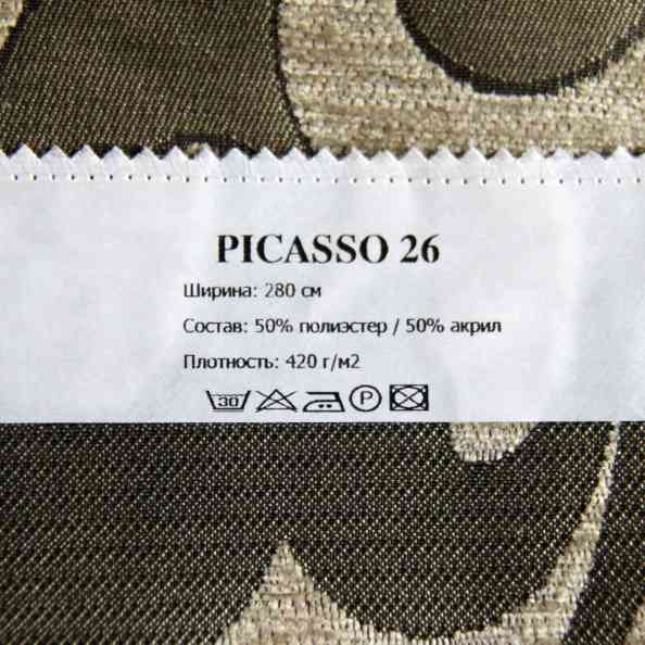 Picasso 26