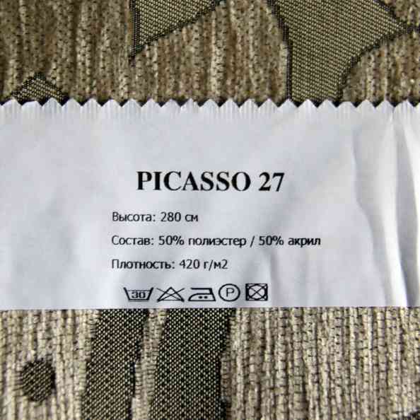 Picasso 27