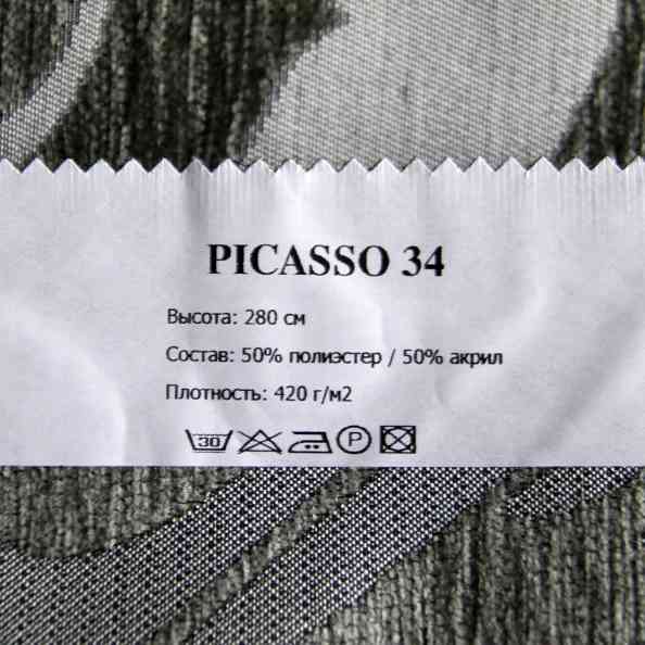 Picasso 34