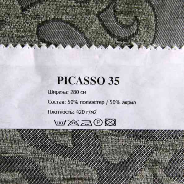 Picasso 35