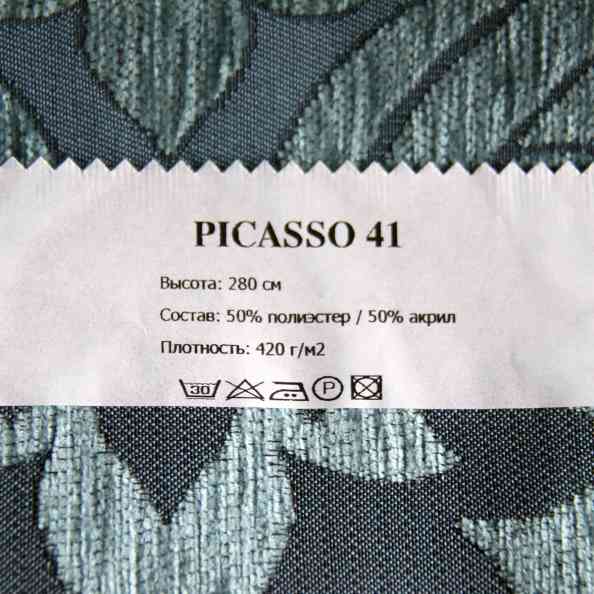 Picasso 41