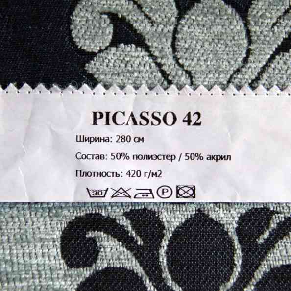 Picasso 42