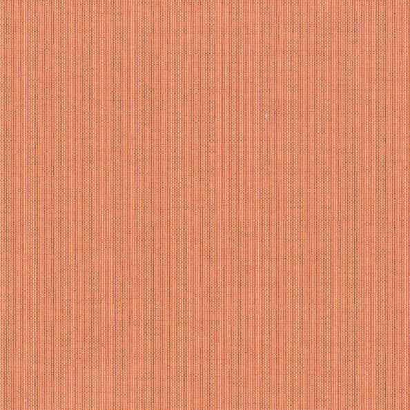 Rio Taffetta 62